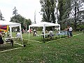 img 015